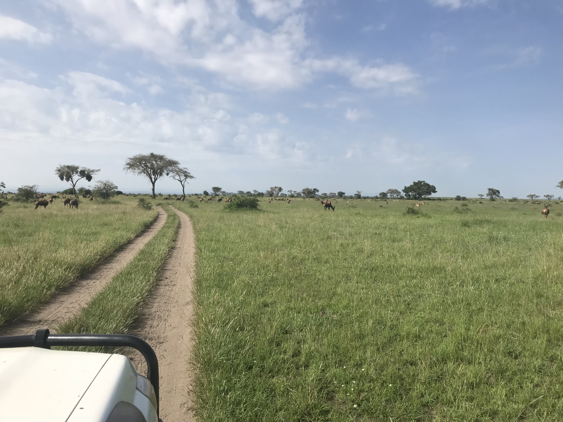 Uganda self-drive tour – 21 days